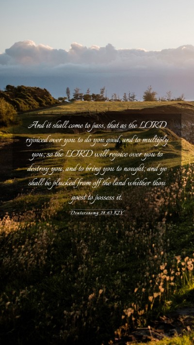 Picture 03 - Deuteronomy 28:63 KJV Mobile Phone Wallpaper - And it shall come to pass, that as the LORD - Mobile Bible Verse Wallpaper