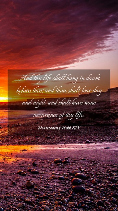 Picture 03 - Deuteronomy 28:66 KJV Mobile Phone Wallpaper - And thy life shall hang in doubt before thee; and - Mobile Bible Verse Wallpaper