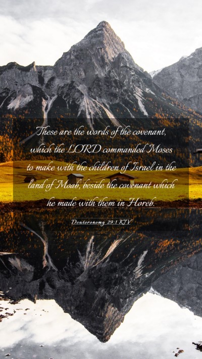 Picture 03 - Deuteronomy 29:1 KJV Mobile Phone Wallpaper - These are the words of the covenant, which the - Mobile Bible Verse Wallpaper