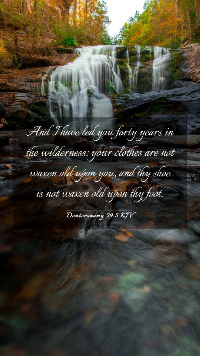 Picture 03 - Deuteronomy 29:5 KJV Mobile Phone Wallpaper - And I have led you forty years in the wilderness: - Mobile Bible Verse Wallpaper
