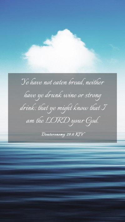 Picture 03 - Deuteronomy 29:6 KJV Mobile Phone Wallpaper - Ye have not eaten bread, neither have ye drunk - Mobile Bible Verse Wallpaper