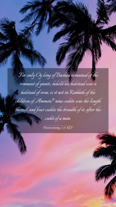 Picture 03 - Deuteronomy 3:11 KJV Mobile Phone Wallpaper - For only Og king of Bashan remained of the - Mobile Bible Verse Wallpaper