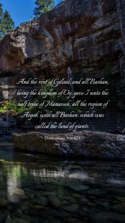 Picture 03 - Deuteronomy 3:13 KJV Mobile Phone Wallpaper - And the rest of Gilead, and all Bashan, being the - Mobile Bible Verse Wallpaper