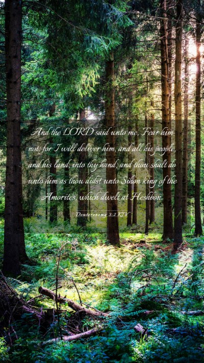 Picture 03 - Deuteronomy 3:2 KJV Mobile Phone Wallpaper - And the LORD said unto me, Fear him not: for I - Mobile Bible Verse Wallpaper