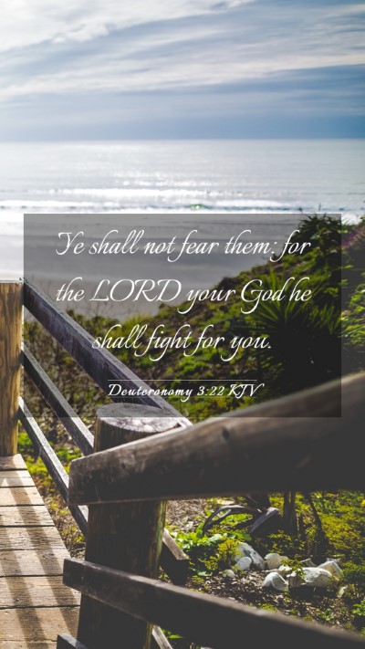 Picture 03 - Deuteronomy 3:22 KJV Mobile Phone Wallpaper - Ye shall not fear them: for the LORD your God he - Mobile Bible Verse Wallpaper