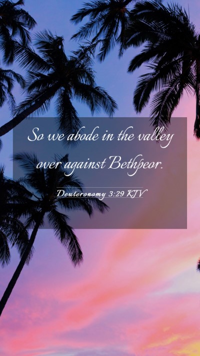 Picture 03 - Deuteronomy 3:29 KJV Mobile Phone Wallpaper - So we abode in the valley over against - Mobile Bible Verse Wallpaper