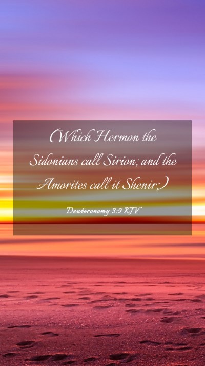 Picture 03 - Deuteronomy 3:9 KJV Mobile Phone Wallpaper - (Which Hermon the Sidonians call Sirion; and the - Mobile Bible Verse Wallpaper