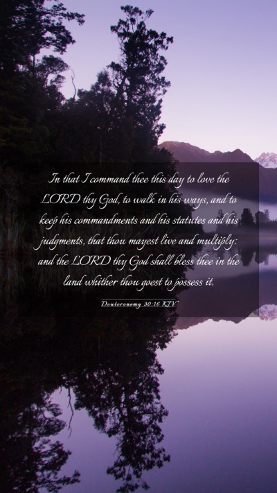 Picture 03 - Deuteronomy 30:16 KJV Mobile Phone Wallpaper - In that I command thee this day to love the LORD - Mobile Bible Verse Wallpaper