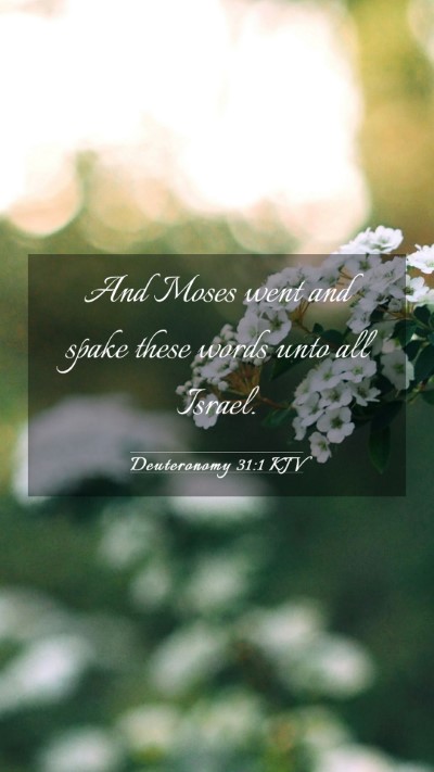 Picture 03 - Deuteronomy 31:1 KJV Mobile Phone Wallpaper - And Moses went and spake these words unto all - Mobile Bible Verse Wallpaper