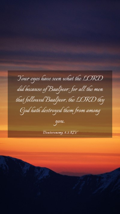 Picture 03 - Deuteronomy 4:3 KJV Mobile Phone Wallpaper - Your eyes have seen what the LORD did because of - Mobile Bible Verse Wallpaper