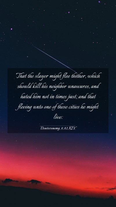 Picture 03 - Deuteronomy 4:42 KJV Mobile Phone Wallpaper - That the slayer might flee thither, which should - Mobile Bible Verse Wallpaper