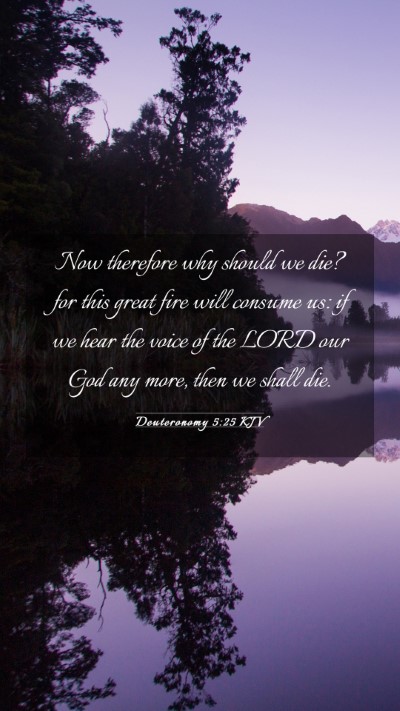 Picture 03 - Deuteronomy 5:25 KJV Mobile Phone Wallpaper - Now therefore why should we die? for this great - Mobile Bible Verse Wallpaper