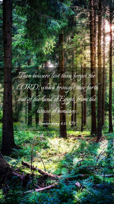 Picture 03 - Deuteronomy 6:12 KJV Mobile Phone Wallpaper - Then beware lest thou forget the LORD, which - Mobile Bible Verse Wallpaper