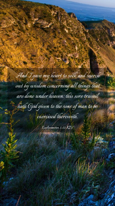 Picture 03 - Ecclesiastes 1:13 KJV Mobile Phone Wallpaper - And I gave my heart to seek and search out by - Mobile Bible Verse Wallpaper