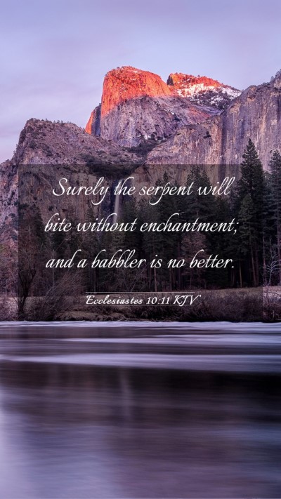 Picture 03 - Ecclesiastes 10:11 KJV Mobile Phone Wallpaper - Surely the serpent will bite without enchantment; - Mobile Bible Verse Wallpaper