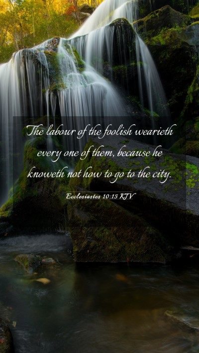 Picture 03 - Ecclesiastes 10:15 KJV Mobile Phone Wallpaper - The labour of the foolish wearieth every one of - Mobile Bible Verse Wallpaper