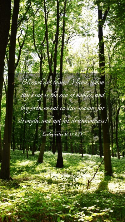 Picture 03 - Ecclesiastes 10:17 KJV Mobile Phone Wallpaper - Blessed art thou, O land, when thy king is the - Mobile Bible Verse Wallpaper