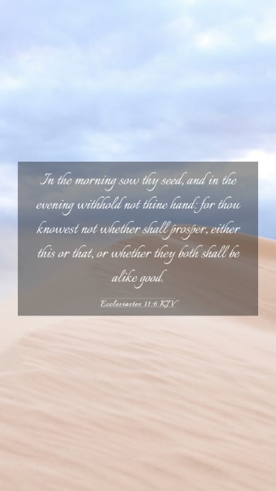 Picture 03 - Ecclesiastes 11:6 KJV Mobile Phone Wallpaper - In the morning sow thy seed, and in the evening - Mobile Bible Verse Wallpaper