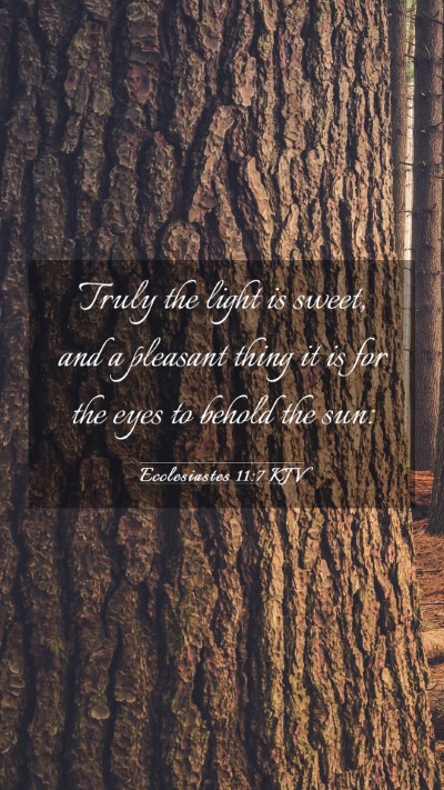 Picture 03 - Ecclesiastes 11:7 KJV Mobile Phone Wallpaper - Truly the light is sweet, and a pleasant thing it - Mobile Bible Verse Wallpaper