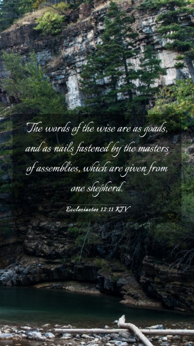 Picture 03 - Ecclesiastes 12:11 KJV Mobile Phone Wallpaper - The words of the wise are as goads, and as nails - Mobile Bible Verse Wallpaper