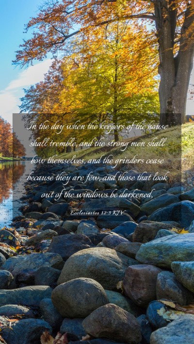 Picture 03 - Ecclesiastes 12:3 KJV Mobile Phone Wallpaper - In the day when the keepers of the house shall - Mobile Bible Verse Wallpaper