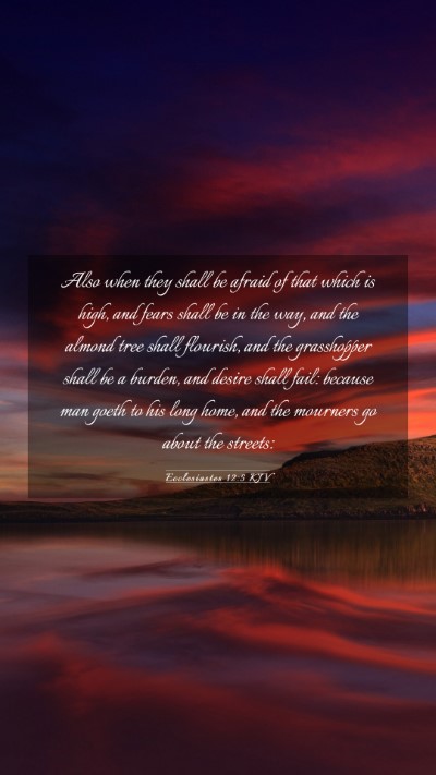 Picture 03 - Ecclesiastes 12:5 KJV Mobile Phone Wallpaper - Also when they shall be afraid of that which is - Mobile Bible Verse Wallpaper