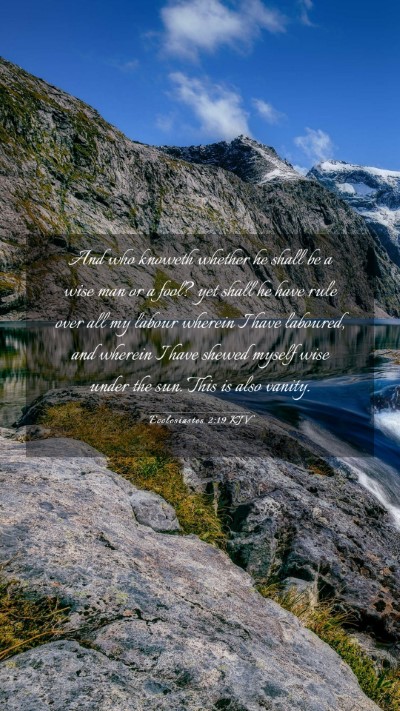 Picture 03 - Ecclesiastes 2:19 KJV Mobile Phone Wallpaper - And who knoweth whether he shall be a wise man or - Mobile Bible Verse Wallpaper