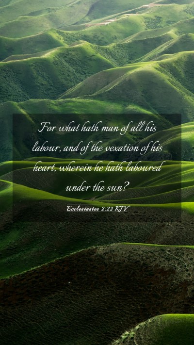 Picture 03 - Ecclesiastes 2:22 KJV Mobile Phone Wallpaper - For what hath man of all his labour, and of the - Mobile Bible Verse Wallpaper