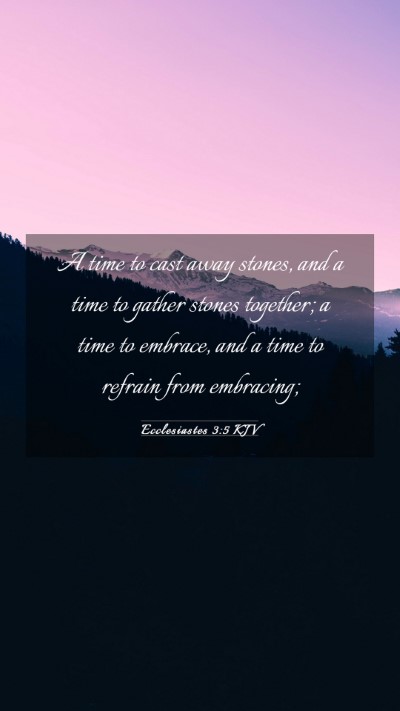Picture 03 - Ecclesiastes 3:5 KJV Mobile Phone Wallpaper - A time to cast away stones, and a time to gather - Mobile Bible Verse Wallpaper