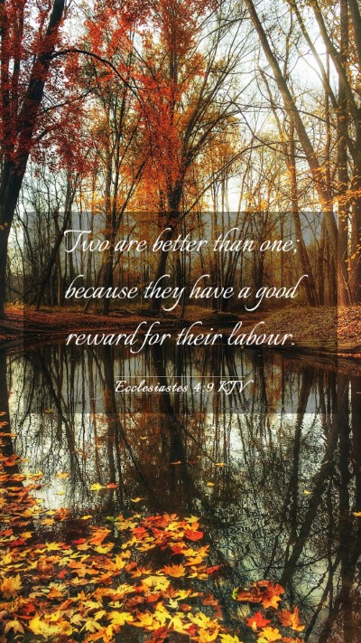 Picture 03 - Ecclesiastes 4:9 KJV Mobile Phone Wallpaper - Two are better than one; because they have a good - Mobile Bible Verse Wallpaper