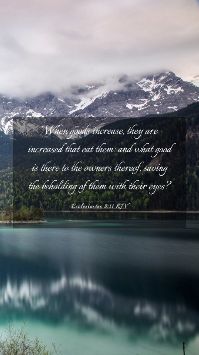 Picture 03 - Ecclesiastes 5:11 KJV Mobile Phone Wallpaper - When goods increase, they are increased that eat - Mobile Bible Verse Wallpaper