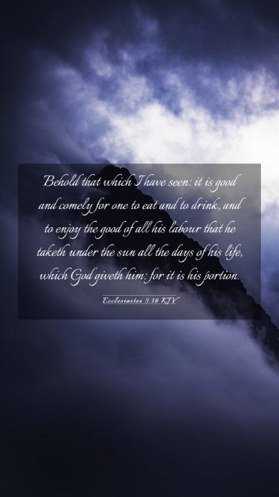 Picture 03 - Ecclesiastes 5:18 KJV Mobile Phone Wallpaper - Behold that which I have seen: it is good and - Mobile Bible Verse Wallpaper