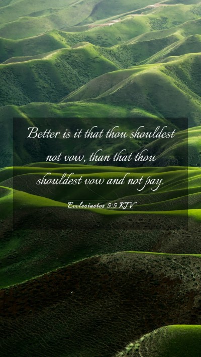 Picture 03 - Ecclesiastes 5:5 KJV Mobile Phone Wallpaper - Better is it that thou shouldest not vow, than - Mobile Bible Verse Wallpaper