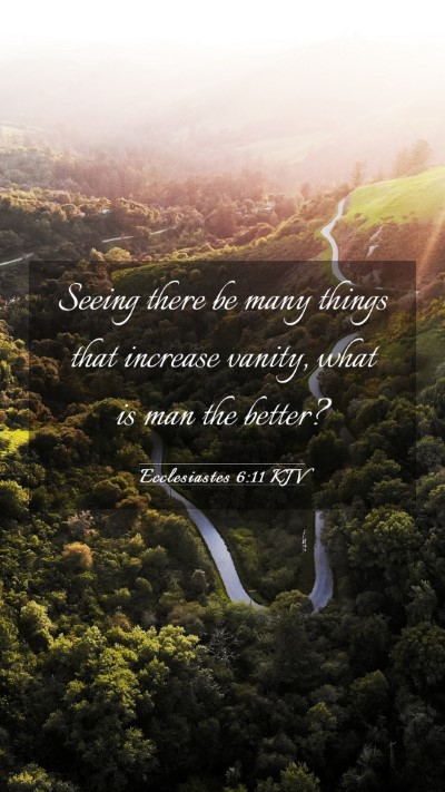 Picture 03 - Ecclesiastes 6:11 KJV Mobile Phone Wallpaper - Seeing there be many things that increase vanity, - Mobile Bible Verse Wallpaper
