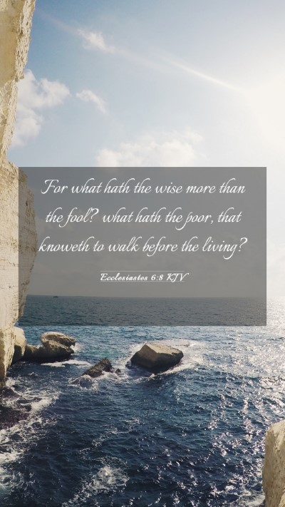 Picture 03 - Ecclesiastes 6:8 KJV Mobile Phone Wallpaper - For what hath the wise more than the fool? what - Mobile Bible Verse Wallpaper