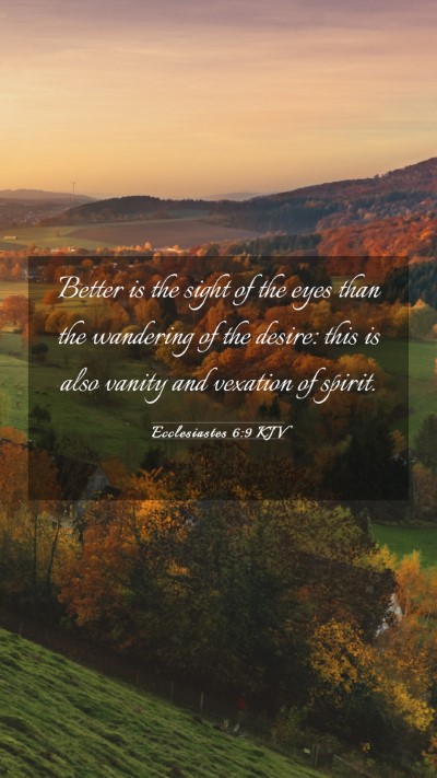 Picture 03 - Ecclesiastes 6:9 KJV Mobile Phone Wallpaper - Better is the sight of the eyes than the - Mobile Bible Verse Wallpaper