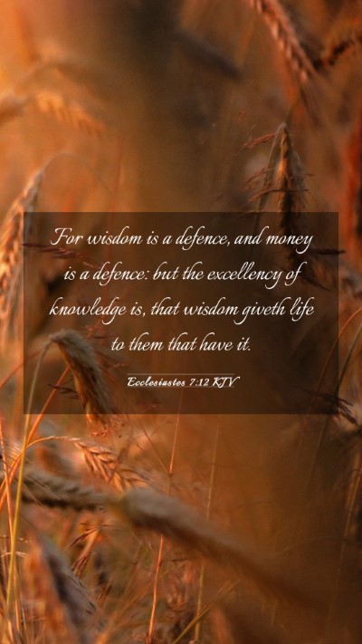Picture 03 - Ecclesiastes 7:12 KJV Mobile Phone Wallpaper - For wisdom is a defence, and money is a defence: - Mobile Bible Verse Wallpaper