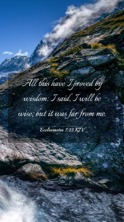 Picture 03 - Ecclesiastes 7:23 KJV Mobile Phone Wallpaper - All this have I proved by wisdom: I said, I will - Mobile Bible Verse Wallpaper