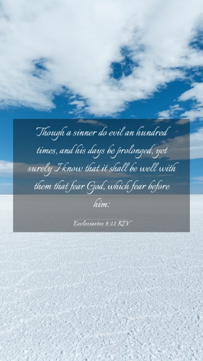 Picture 03 - Ecclesiastes 8:12 KJV Mobile Phone Wallpaper - Though a sinner do evil an hundred times, and his - Mobile Bible Verse Wallpaper