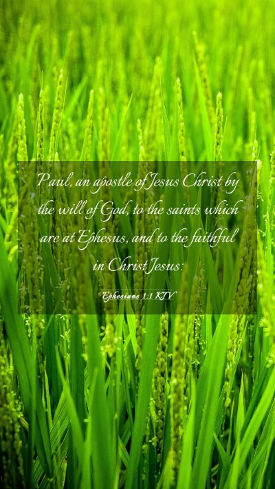 Picture 03 - Ephesians 1:1 KJV Mobile Phone Wallpaper - Paul, an apostle of Jesus Christ by the will of - Mobile Bible Verse Wallpaper