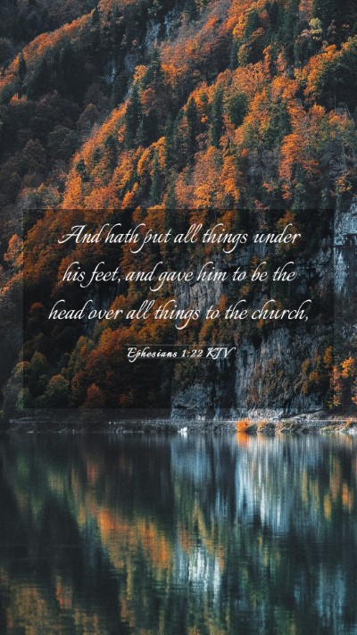 Picture 03 - Ephesians 1:22 KJV Mobile Phone Wallpaper - And hath put all things under his feet, and gave - Mobile Bible Verse Wallpaper
