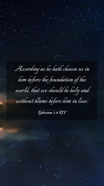 Picture 03 - Ephesians 1:4 KJV Mobile Phone Wallpaper - According as he hath chosen us in him before the - Mobile Bible Verse Wallpaper