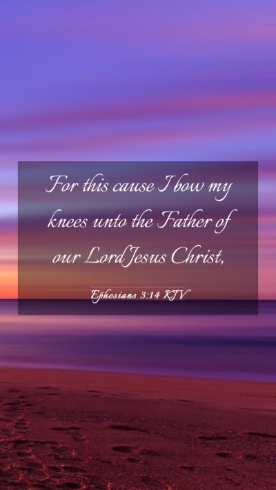 Picture 03 - Ephesians 3:14 KJV Mobile Phone Wallpaper - For this cause I bow my knees unto the Father of - Mobile Bible Verse Wallpaper