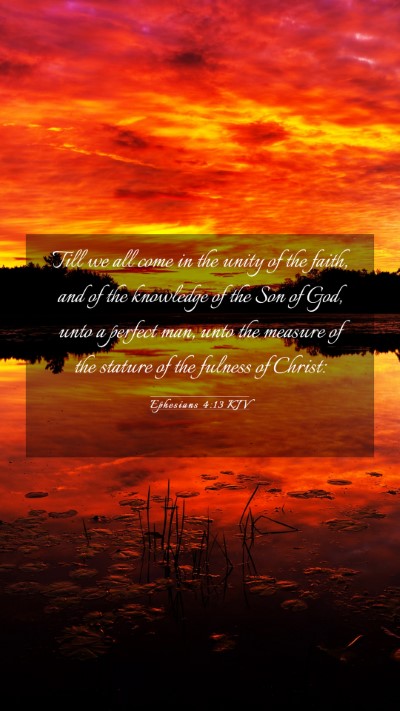 Picture 03 - Ephesians 4:13 KJV Mobile Phone Wallpaper - Till we all come in the unity of the faith, and - Mobile Bible Verse Wallpaper