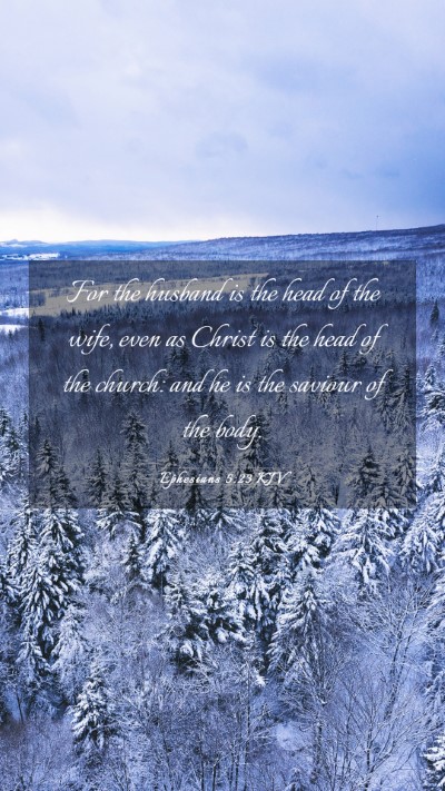 Picture 03 - Ephesians 5:23 KJV Mobile Phone Wallpaper - For the husband is the head of the wife, even as - Mobile Bible Verse Wallpaper