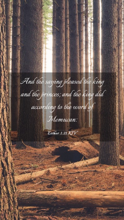 Picture 03 - Esther 1:21 KJV Mobile Phone Wallpaper - And the saying pleased the king and the princes; - Mobile Bible Verse Wallpaper