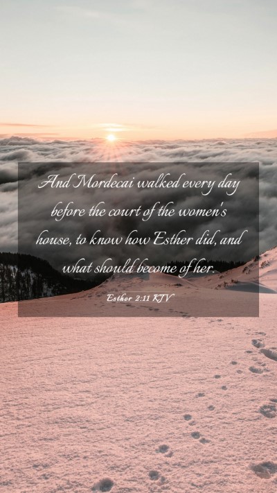 Picture 03 - Esther 2:11 KJV Mobile Phone Wallpaper - And Mordecai walked every day before the court of - Mobile Bible Verse Wallpaper