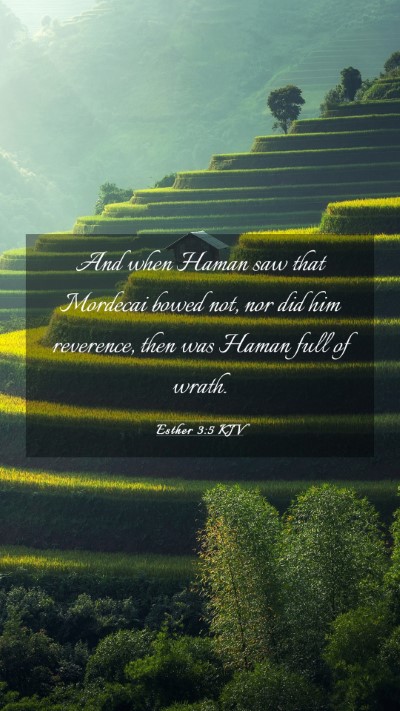 Picture 03 - Esther 3:5 KJV Mobile Phone Wallpaper - And when Haman saw that Mordecai bowed not, nor - Mobile Bible Verse Wallpaper