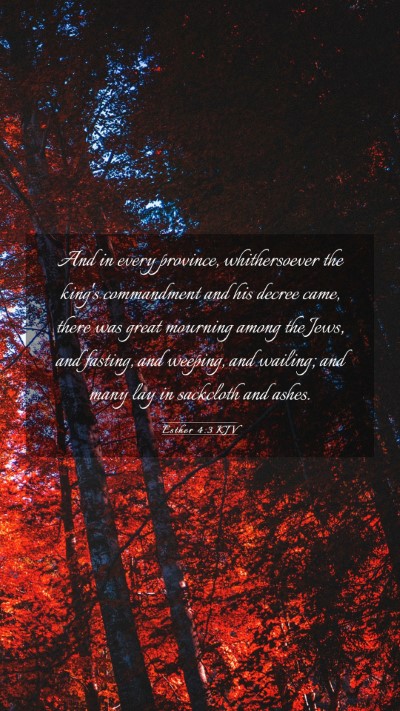 Picture 03 - Esther 4:3 KJV Mobile Phone Wallpaper - And in every province, whithersoever the king's - Mobile Bible Verse Wallpaper