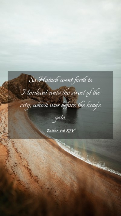 Picture 03 - Esther 4:6 KJV Mobile Phone Wallpaper - So Hatach went forth to Mordecai unto the street - Mobile Bible Verse Wallpaper